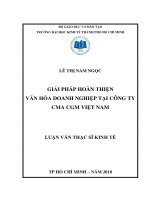 Giải pháp hoàn thiện văn hóa doanh nghiệp tại công ty CMA CGM việt nam 