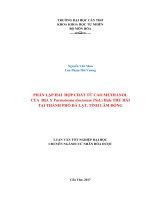 PHÂN LẬP HAI HỢP CHẤT TỪ CAO METHANOL CỦA ĐỊA Y Parmotrema tinctorum (Nyl.) Hale THU HÁI TẠI THÀNH PHỐ ĐÀ LẠT, TỈNH LÂM ĐỒNG