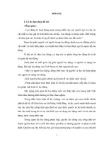 Tiểu luận  môn vai trò pháp luật đối với quản lý xã hội