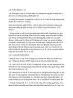 Software  ERROR LỖI PHẦN mềm là gì