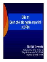 ĐIỀU TRỊ COPD ỔN ĐỊNH  BÀI GIẢNG LT NỘI ĐHYD