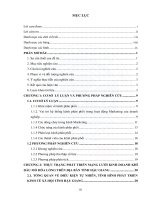 Giải pháp phát triển mạng lưới kinh doanh khí dầu mỏ hoá lỏng tại tỉnh hậu giang 