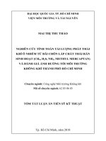 Nghiên cứu tính toán tải lượng phát thải khí ô nhiễm từ bãi chôn lấp chất thải rắn sinh hoạt (CH4, h2s, NH3, methyl mercaptan) (tt) 