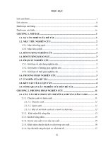 Phân tích hiệu quả kinh tế của mô hình chuyên canh lúa và lúa   màu tại thị xã long mỹ, tỉnh hậu giang 