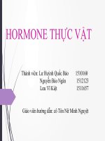 đề tài hormone thực vật