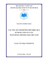 Các yếu tố ảnh hưởng đến hiệu quả sử dụng vốn của các ngân hàng thương mại việt nam 