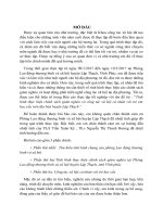 Tình hình thực hiện chính sách giảm nghèo và công tác xã hội cá nhân với trẻ em học yếu trên địa bàn huyện Lập Thạch