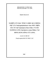 Nghiên cứu đặc tính và hiệu quả phòng trừ của Nucleopolyhedrosis virus (NPV) trên sâu ăn tạp (Spodoptera litura Fabr.) và sâu xanh da láng (Spodoptera exigua Hubn.) tại Đồng bằng sông Cửu Long