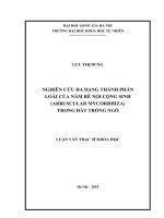 NGHIÊN CỨU ĐA DẠNG THÀNH PHẦN LOÀI CỦA NẤM RỄ NỘI CỘNG SINH (ARBUSCULAR MYCORRHIZA) TRONG ĐẤT TRỒNG NGÔ