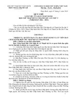 QUY CHẾ LÀM VIỆC CỦA BAN CHẤP HÀNH HỘI CHỮ THẬP ĐỎ XÃ THẠNH LỢI LẦN THỨ V