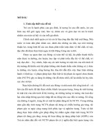 Áp dụng pháp luật trong xét xử sơ thẩm hình sự đối với người chưa thành niên phạm tội của Toà án nhân dân ở tỉnh Quảng Trị