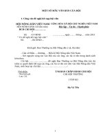 MỘT SỐ MẪU VĂN BẢN CỦA HỘI CHỮ THẬP ĐỎ