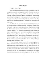 TIỂU LUẬN XHH NÔNG THÔN  bạo lực giữa vợ và chồng trong gia đình nông thôn việt nam hiện nay