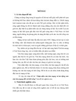 tiểu luận cao học  tác động của văn hóa mạng đối với đời sống