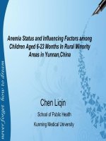 Tình trạng thiếu máu và yếu tố ảnh hưởng ở trẻ 6 đến 23 tháng tuổi ở vùng nông thôn vân nam trung quốc _Anemia Status and Influencing Factors among Children Aged 623 Months In Rural Minority Areas in Yunnan_China