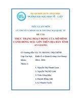 TIỂU LUẬN LÝ THUYẾT THƯƠNG MẠI QUỐC TẾ
