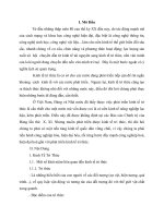 Tiểu luận cao học môn kinh tế chính trị - Kinh tế tri thức trong quá trình công nghiệp hóa hiện đại hóa