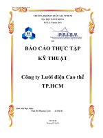 BÁO CÁO THỰC TẬP  KỸ THUẬT  Công ty Lưới điện Cao thế  TP.HCM