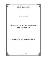 Tìm hiểu về văn hóa của các quốc gia đông nam á hải đảo