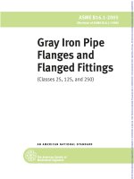 asme B16.1Gray Iron Pipe Flanges and Flanged Fittings