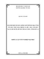 So sánh một số mẫu giống ngô nếp bản địa vùng tây bắc việt nam, trong vụ hè – thu, năm 2017 tại xã bó mười, huyện thuận châu, tỉnh sơn la 