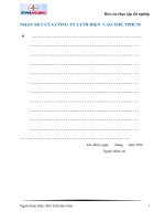 BÁO CÁO THỰC TẬP KỸ THUẬT Công ty Lưới điện Cao thế TP.HCM