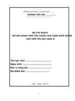 BÀI THU HOẠCH lớp bồi DƯỠNG THEO TIÊU CHUẨN CHỨC DANH NGHỀ NGHIỆP GIÁO VIÊN TIỂU học HẠNG III