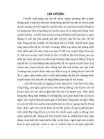 Tiểu luận cao học môn ngôn ngữ báo chí