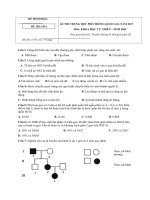 de minh hoa theo cau truc moi nam 2017 so 6 co loi giai file word 