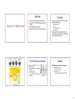 Thử nghiệm hoạt tính enzyme