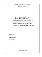BÀI THU HOẠCH lớp bồi DƯỠNG THEO CHUẨN CHỨC DANH NGHỀ NGHIỆP GIÁO VIÊN mầm NON HẠNG III