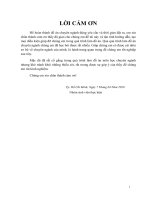 bao cao quan tri mang radius