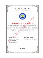 Giải pháp hoàn thiện hoạt động marketing trực tuyến tại thị trường thành phố huế của công ty TNHH thương mại carlsberg việt nam  
