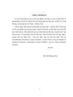 Thiết kế, sàng lọc một số dẫn xuất flavonoid và đánh giá hoạt tính gây độc lên dòng tế bào hela dựa vào các tính toán hóa lượng tử 