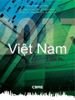 Vietnam major report   vietnam market outlook 2017 february 2017 VN