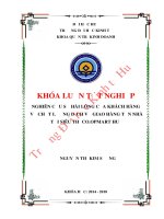 Nghiên cứu sự hài lòng của khách hàng về chất lượng dịch vụ giao hàng tận nhà tại siêu thị co opmart huế