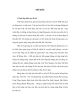 Tiểu luận cao học quản lý lễ hội văn hóa truyền thống dân tộc thiểu số tỉnh thái nguyên trong giai đoạn hiện nay