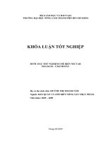 BƯỚC ĐẦU THỬ NGHIỆM CHẾ BIẾN NECTAR NHA ĐAM – CHANH DÂY
