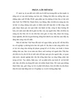 Tiểu luận cao học báo chí điều tra và những vi phạm đạo đức nhà báo