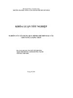 NGHIÊN CỨU XÂY DỰNG QUY TRÌNH CHẾ BIẾN RAU CÂU CHO NĂNG LƯỢNG THẤP
