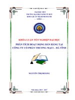 PHÂN TÍCH HOẠT ĐỘNG bán HÀNG tại CÔNG TY cổ PHẦN THƯƠNG