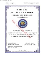 Nghiên cứu các nhân tố ảnh hưởng đến quyết định mua bảo hiểm nhân thọ hanwha life của khách hàng tại thành phố huế