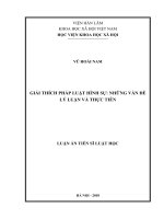 Giải thích pháp luật hình sự những vấn đề lý luận và thực tiễn