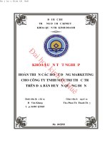 Hoàn thiện các hoạt động marketing cho công ty TNHH MTV tri thức trẻ trên địa bàn huyện quảng điền 