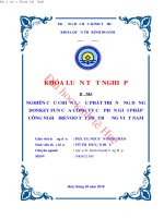 Nghiên cứu chiến lược phát triển ứng dụng donkey fun của công ty cổ phần giải pháp công nghệ irevoo tại thị trường việt nam 