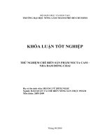 THỬ NGHIỆM CHẾ BIẾN SẢN PHẨM NECTA CAM – NHA ĐAM ĐÓNG CHAI