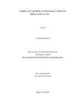 NGHIÊN CỨU CHẾ BIẾN SẢN PHẨM CHẢ CÁ BỔ SUNG KHOAI LANG VÀ GẤC