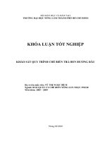 KHẢO SÁT QUY TRÌNH CHẾ BIẾN TRÀ ĐEN HƯƠNG DÂU