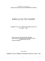 NGHIÊN CỨU QUY TRÌNH CHẾ BIẾN NƯỚC ÉP CÀ RỐT – TÁO