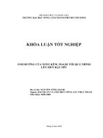 ẢNH HƯỞNG CỦA NITƠ, KẼM, MAGIE TỚI QUÁ TRÌNH LÊN MEN HẠT MÍT